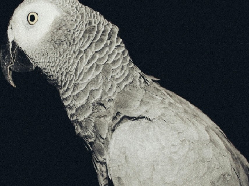 Exploring the Fascinating Story Behind Abandoned Places in Tel Aviv, Israel and Congo